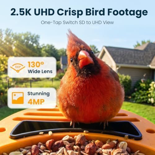 Smart Bird Feeder with Camera, Green