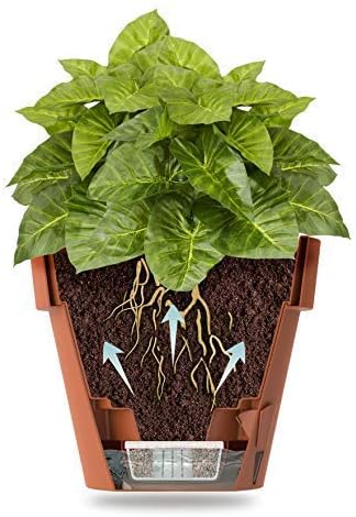 Pack of 3 - Self Watering Planter - Height 9.2 inches - Flower Pot with Bottom Watering Level Indicator for All House