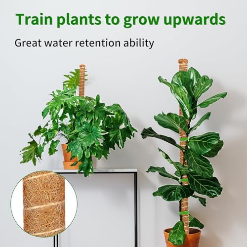 2 Pack Moss Pole, 63-Inch Moss Poles for Plants Monstera,Bendable Plant Support Stakes for Climbing Plants Indoor, Garden Trellis Plant Stick for Potted Plants, Pothos Philodendron