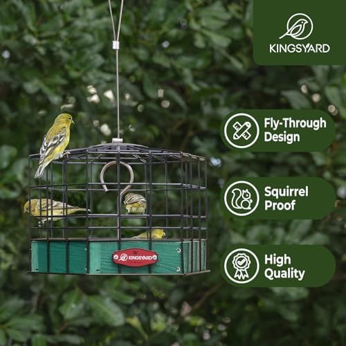 Kingsyard Squirrel Proof Platform Bird Feeder