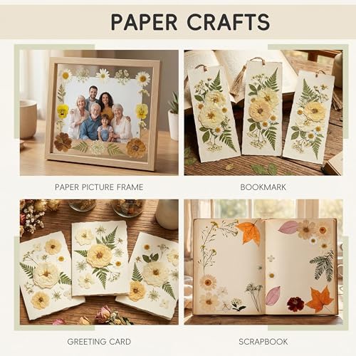 LUXEEASE 100P Vintage Cream Brown Dried Pressed Flowers