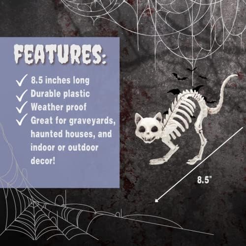 SCS Direct Kitten Skeleton Halloween 3 Pack - 7.5" Weather Resistant Decor