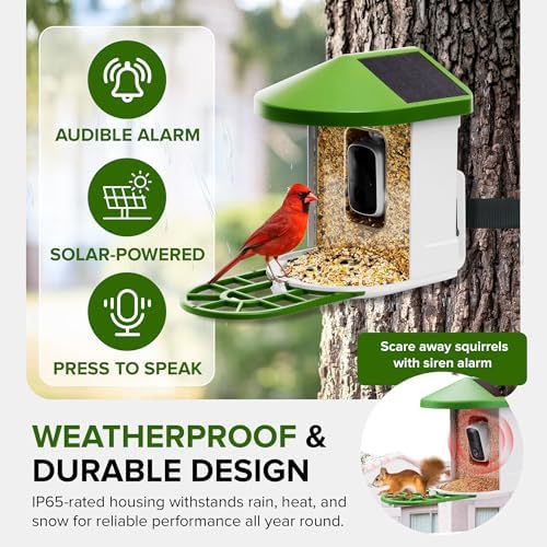Birvio™ Smart Bird Feeder with Camera, Solar Powered, 1080P HD WiFi Live Stream, AI Bird Identification, Instant Motion Alerts