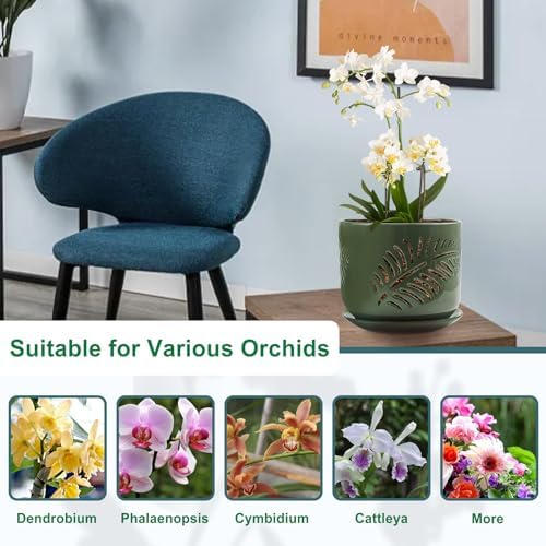 5+6 inch Orchid Pots with Holes, Orchid Pots for Repotting, Healthy Air Circulation Plant Pots for Plant Lovers, Planters for Indoor/Outdoor Plants, Set of 2