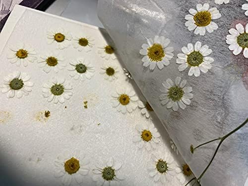 60 Sheets Flower Press Refill 15.7inchx11.8inch Lining Paper
