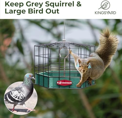Kingsyard Squirrel Proof Platform Bird Feeder