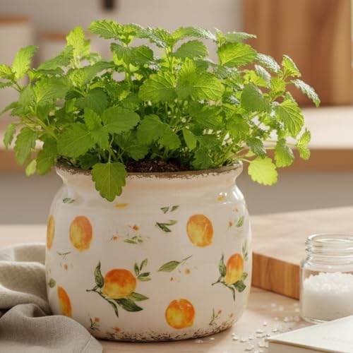 Lemon Ceramic Planter, Italian Mediterranean Flower Pot for Indoor Plants