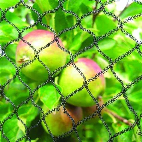 30x30 FT Bird Netting, 1/2" Mesh, Heavy Duty Garden Netting | Strong Woven Netting for Garden Protection, Plants, Fruit