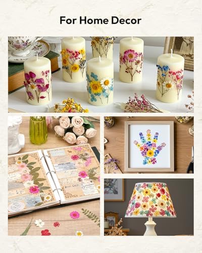Dried Flowers, Resiners 100Pcs Pressed Flowers for Craft