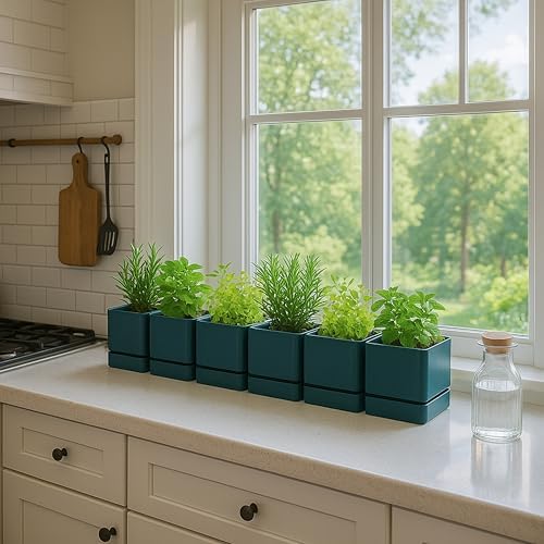D'vine Dev 6-Pack Plastic Herb Planter Pots, 4 in, Green, 76-Y-C-1