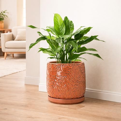 D'vine Dev Embossed Leaves Ceramic Planter, 8 in, Pumpkin, 27-A-Q-J