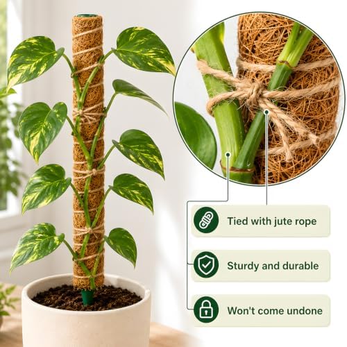 Moss Pole for Monstera, 4 Pack 16in Stackable Plant Support