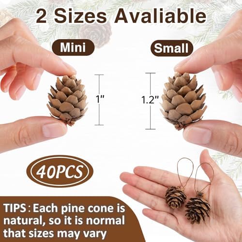 Apipi 1.2" Natural Small Pine Cones Fall Decor Christmas Ornaments, 40 Pcs