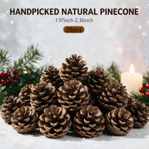 DoubleWood Natural Pine Cones, 2.3", 20Pcs, Rustic Large PineCones