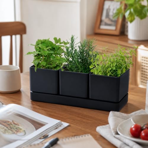 D'vine Dev 2-Pack Plastic Herb Garden Planter Set, Black, 76-V-B-2