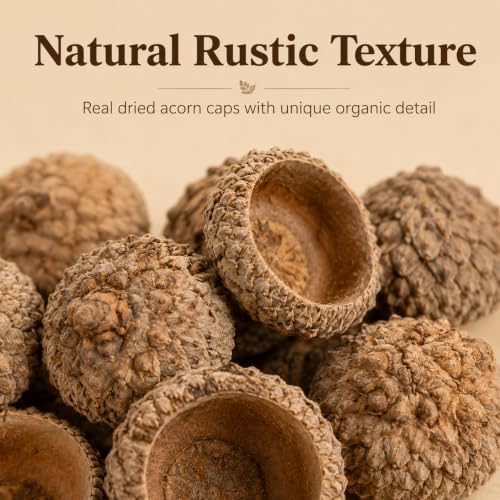 100Pcs Natural Acorn Caps for Crafts, Dried Acorn Tops Fall Decor