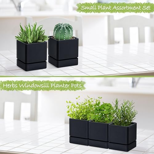 D'vine Dev 3-Pack Plastic Herb Planter Pots, 4 in, Black, 76-Y-B3-1