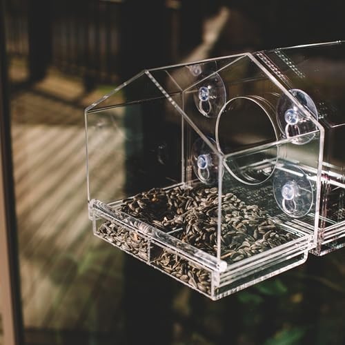 Backyard Expressions Clear Window Bird Feeder with Large Viewing Hole, Divided Tray & Heavy-Duty Suction Cups, Acrylic Window Feeder for Indoor Bird Watching