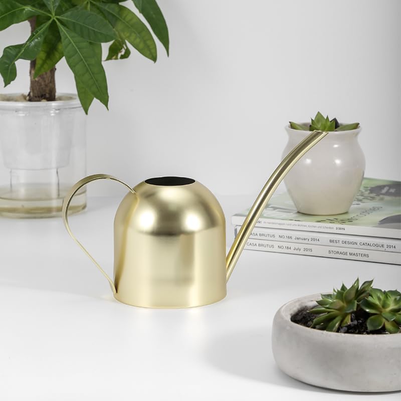 Stainless Steel Water Can for Indoor Plants and Garden (Gold 30 oz) | Stainless steel, long spout, houseplants