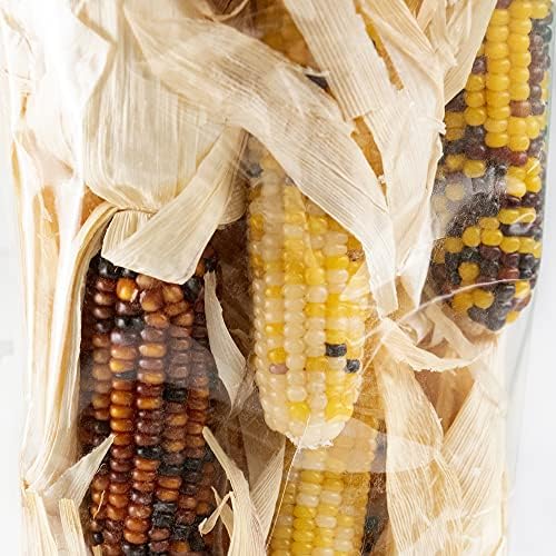 ANDALUCA Natural Decoration Indian Corn Bag | 12 Natural Husks for Fall, Autumn & Thanksgiving Home Decor (Mini Corn)