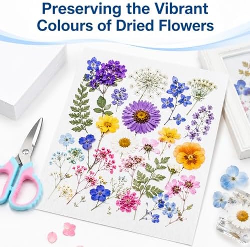 100 Sheets A4 Blotting Paper for Flower Press