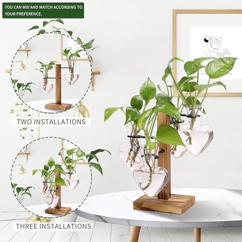 Plant Terrarium Propagation Stations with Wooden Stand