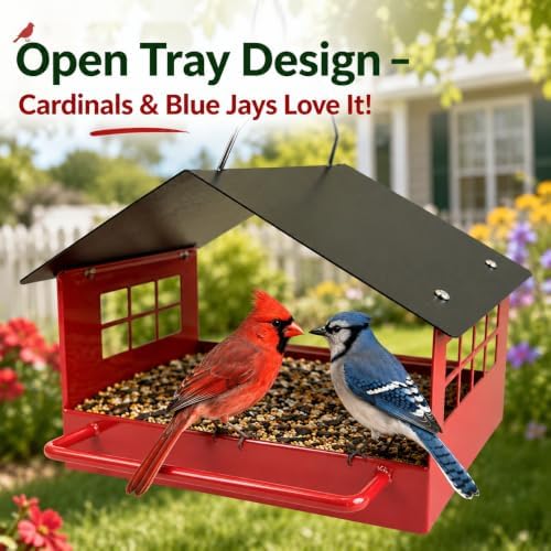 Metal Bird Feeder for Outdoors Hanging, Heavy Duty Tray Platform Bird Feeder with Drainage Holes, Wild Bird Seed Feeder for Cardinal Blue Jay, Squirrel Resistant for Garden Deck Patio