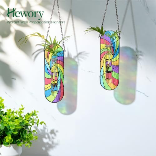 Hewory Stained Glass Window Hanging: 2PCS Propagation Stations, Rainbow