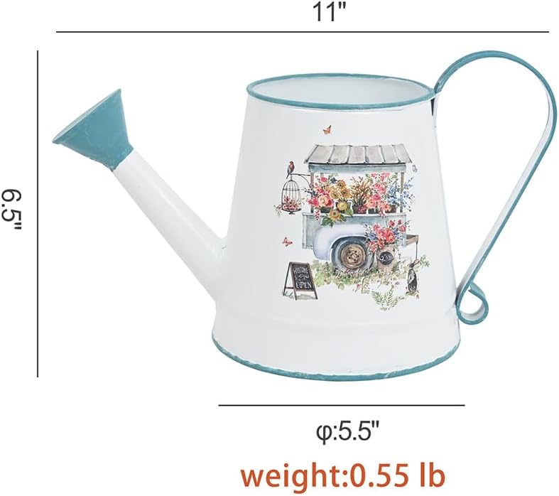 Cute Small Watering Can Indoor Plants Garden Metal Decorative Watering Cans for Outdoor Plants Bonsai Outdoor Garden