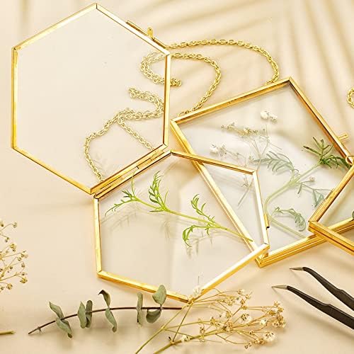 FOCHIER F 3 Pcs Pressed Flower Frames with Tweezers, Wall Hanging Double Glass Frames with Metal Chain for Pressed Dried Flowers Plants, Golden