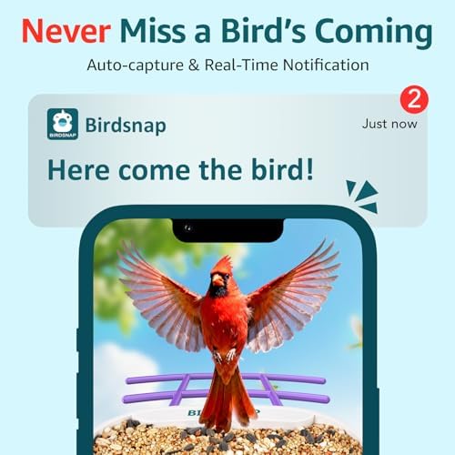 birdsnap® TUC Bird Feeder with Camera Solar Powered 2K Video with 32GB Card