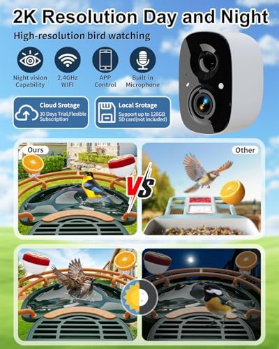 Bird Feeder with Camera, AI Recognition, Bird Bath, Solar Powered