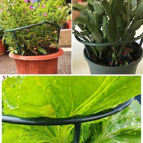 Mwellewm Plant Stakes Small Plant Supports for Indoor Plants Holder Sticks