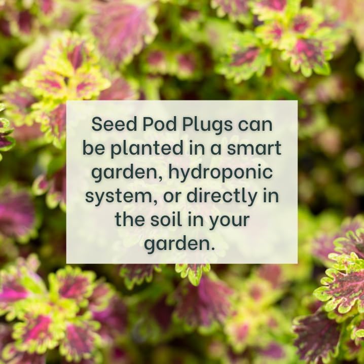 Grow Your Own Seed Pod - Complete Seed Pod Plugs with Plant Food | Add Your Own Seeds, 10 Pods, For Hydroponic Gardens