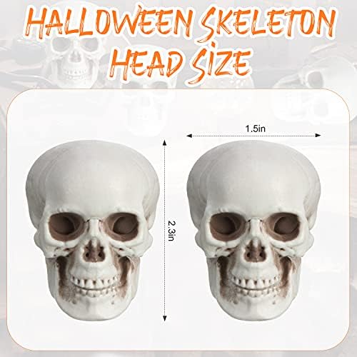 Boao 10 Pcs Halloween Mini Skull Heads 2.3'' Plastic Skeleton Skulls Decor