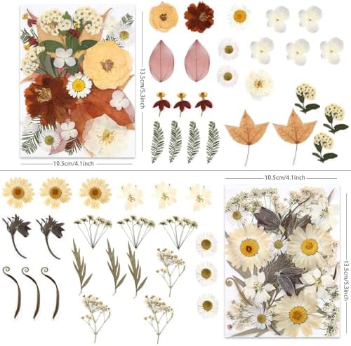 LUXEEASE 100P Vintage Cream Brown Dried Pressed Flowers