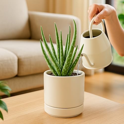 D'vine Dev 4.7 Inch Ceramic Planter Pot, Oatmeal, 94-O-B-8