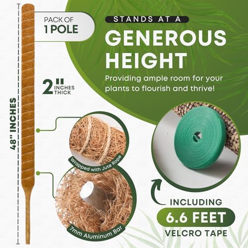 Moss Pole Monstera Plant Support | 60 Inch Plant Stakes for Indoor Plants | Coconut Palm Fiber Moss Poles for Climbing Plants | Handmade Plant Sticks Support Tall Monstera, Pothos & More
