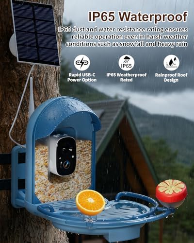 Bird Feeder with Camera, AI Recognition, Bird Bath, Solar Powered