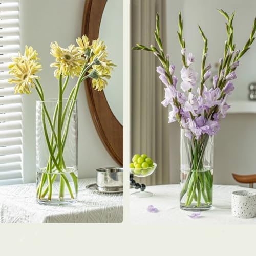 Clear Acrylic Cylinder Vase 3, Tall Cylinder Hurricane Plastic Vase