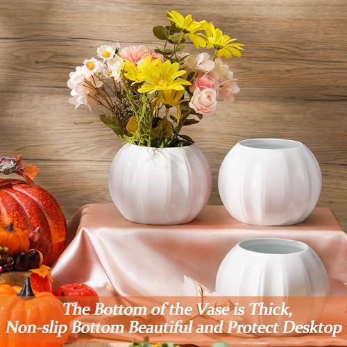 Sieral 3 Pcs Ceramic Pumpkin Vase 5.5" White Pumpkin Table Decor Fall Vase