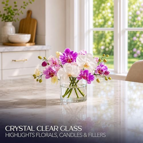Royal Imports Glass Cylinder Flower Vase 4" Wide x 4" Tall, Clear
