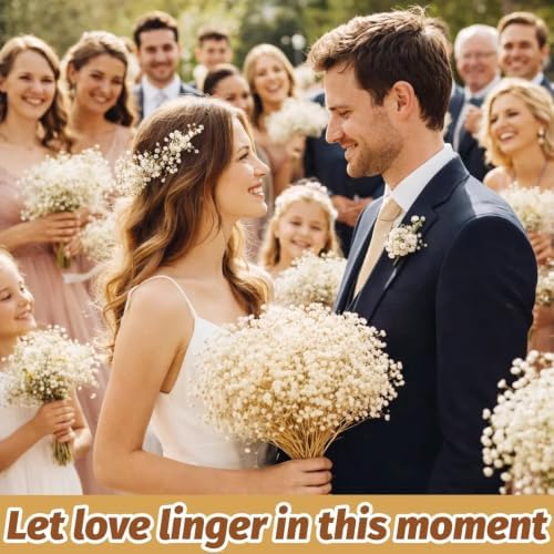 2300+ Dried Baby's Breath Flowers 17" Gypsophila Stems for Decor