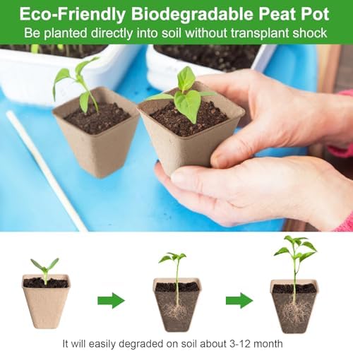 Baxrou 120 Pack 3.15 Inch Square Peat Pots for Seedlings