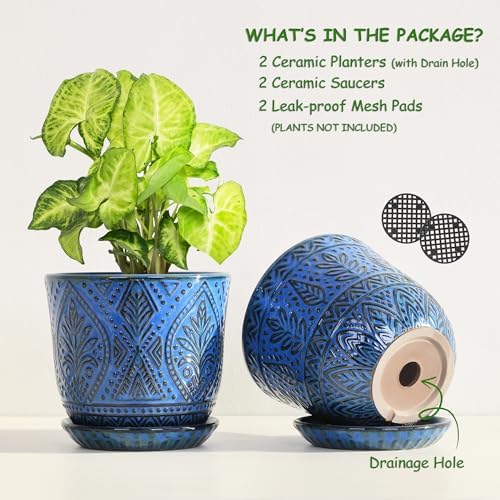 Gepege Ceramic Plant Pots, 6 Inch Indoor Planters with Drainage & Saucers