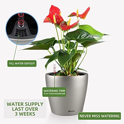 Dexceder 9x8 Self Watering Planter (Smoky Gray Matte)