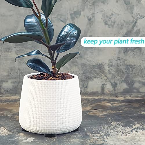20 Pack Invisible Pot Feet, Non-Slip Solid Rubber Plant Pots Risers, 0.06" Durable & Reusable Pot Lifters for Indoor & Outdoor Planters, Drainage & Moisture Control Pads, Non-Scratch