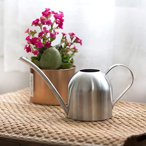 Watering Can for Indoor Plants, 450ml/15oz Stainless Steel