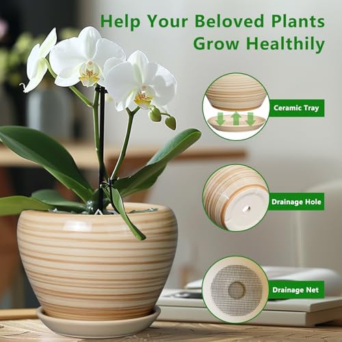 Ceramicfor Planter Pot 8 Inch, Ceramic Pot for Plants, Yellow