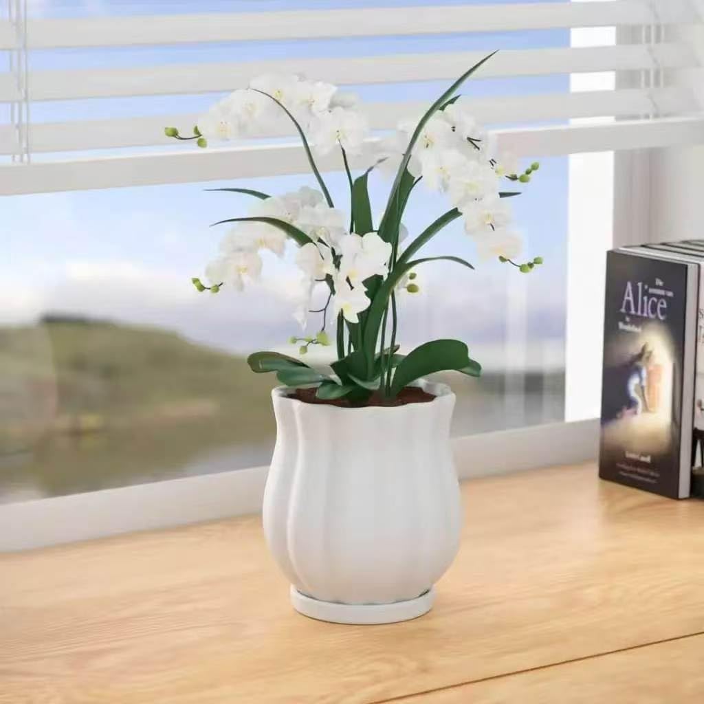 5.8" Matte White Ceramic Plant Pot with Saucer | 5.8 x 5.8 x 6.6 Inches | With Drainage Hole | Suitable For Indoor and